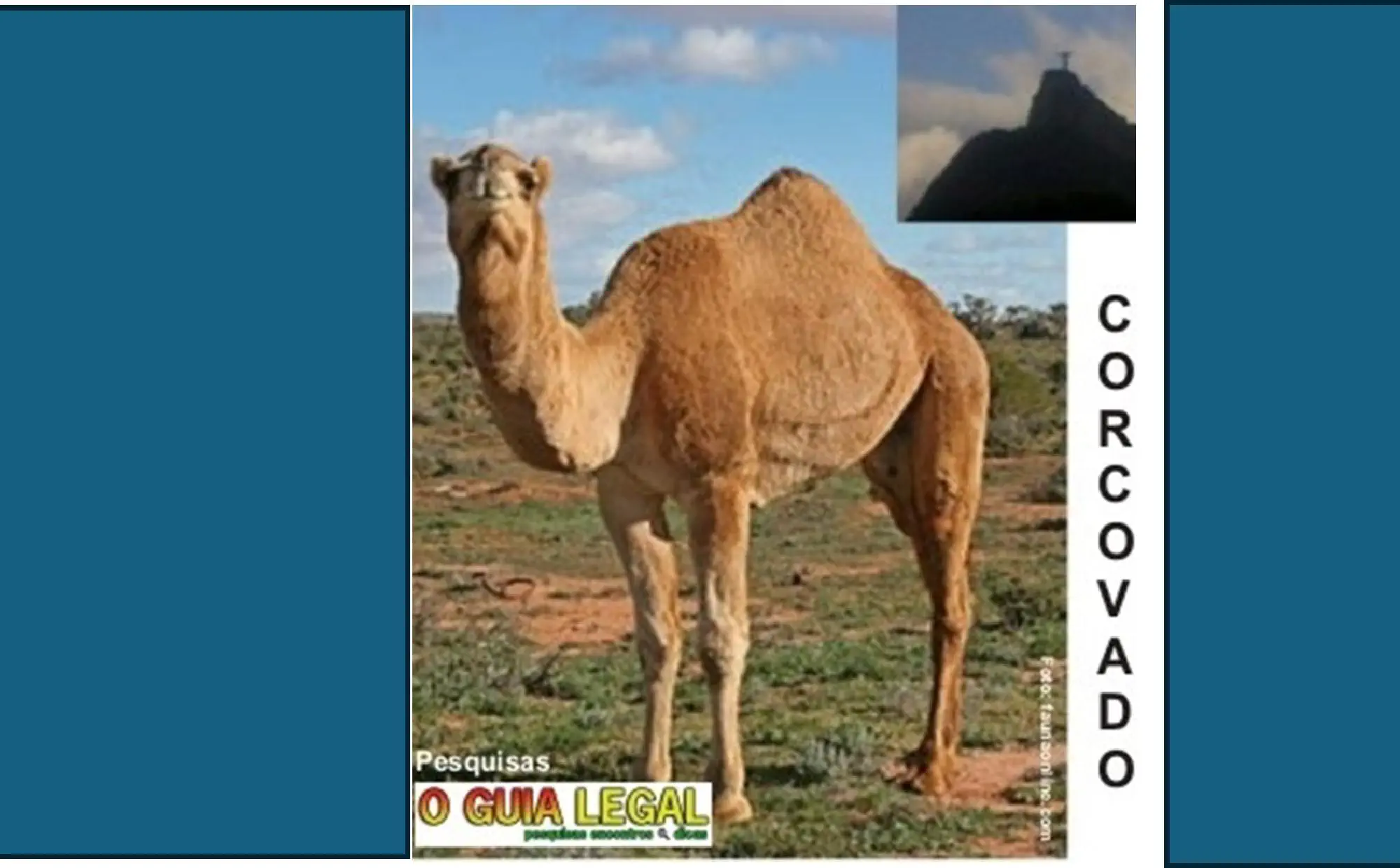 CORCOVADO - etimologia