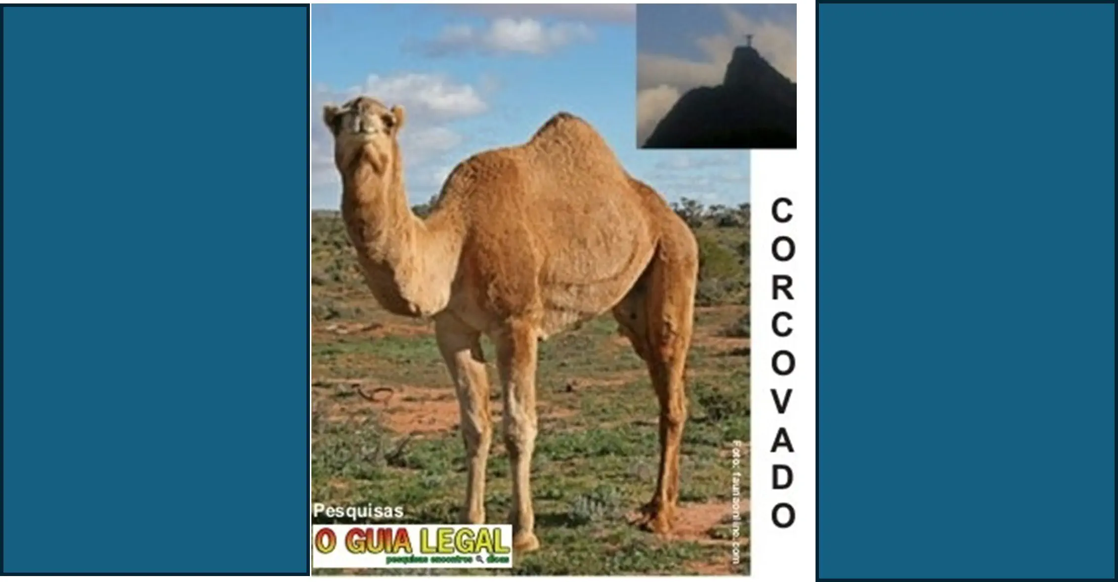 CORCOVADO - etimologia