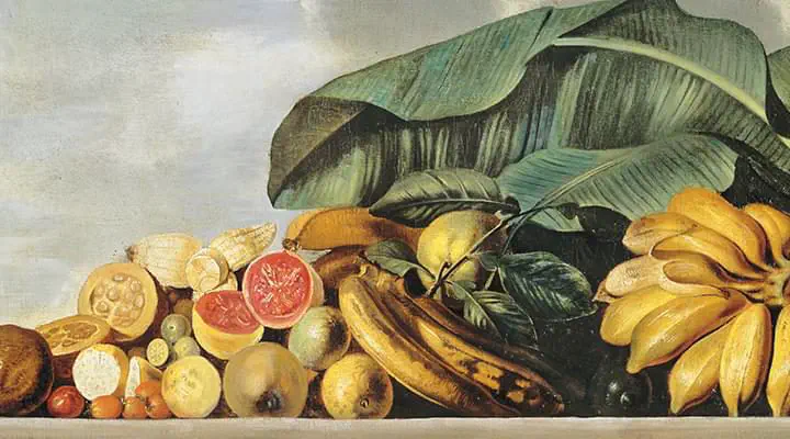 Ekhout Natureza Morta