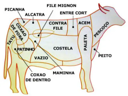 Mapa do corte das carnes em vários idiomas